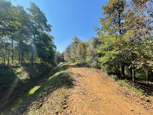 Terreno Residencial En Venta En Catalina