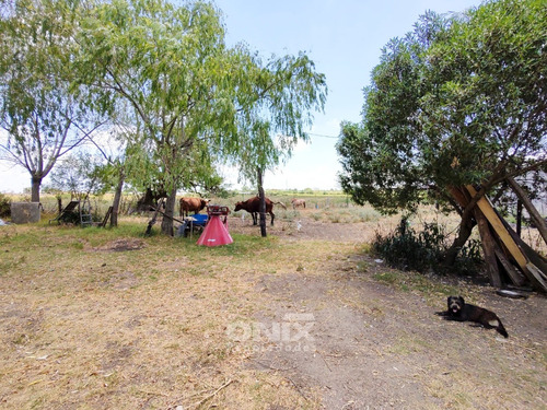 Venta Campo 36,2ha En Toledo Chico Con Chacra Y 2 Pozos