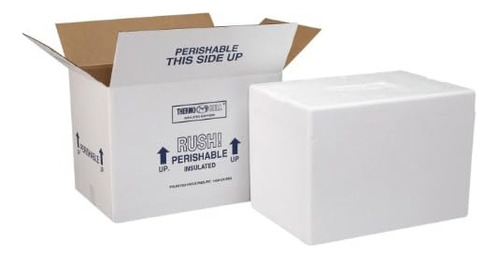 209c Thermo Chill Insulated Carton With Foam Shipper, W...