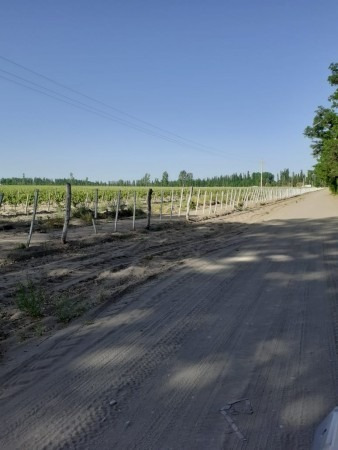 Imagen 5 de 14 de Finca De 30 Hectareas En Venta Uvas Finas