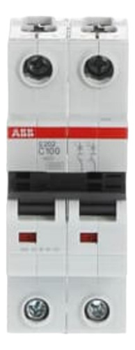 Disyuntor Miniatura Abb S202-c100 100a, 2 Polos, Curva C