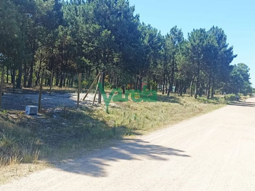 Imagen 5 de 12 de Solymar Venta De Terrenos Financiados