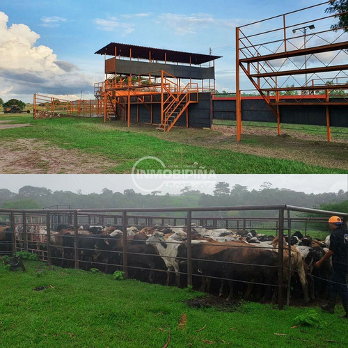 Imagen 3 de 4 de Finca En Venta - Upata Fl