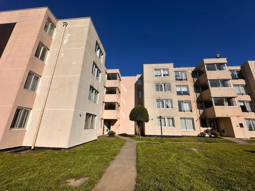 Arrienda Departamento 3 Habitaciones, Campos De Bellavista
