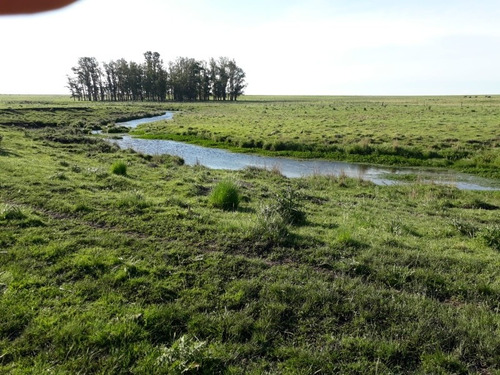 Exelente Campo Agrícola 100%