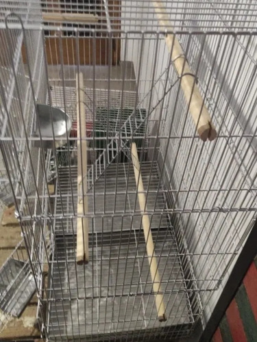 Jaula Para Aves Con Bandeja De Acero Inoxidable