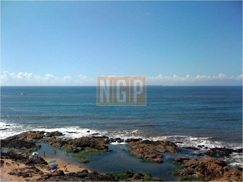 Divino Impecable Con Servicios-ref:4522