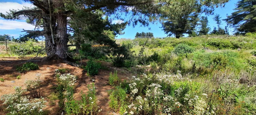 Paradisiaco Terreno En Pinares Norte De Algarrobo