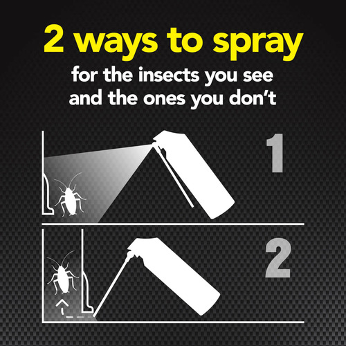 Raid Spray Max Para Hormigas Y Cucarachas 410 Ml 1 Unidad