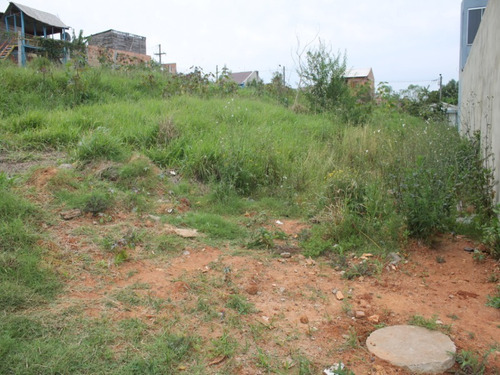 Imagem 8 de 10 de Terreno - Te00024 - 68718693