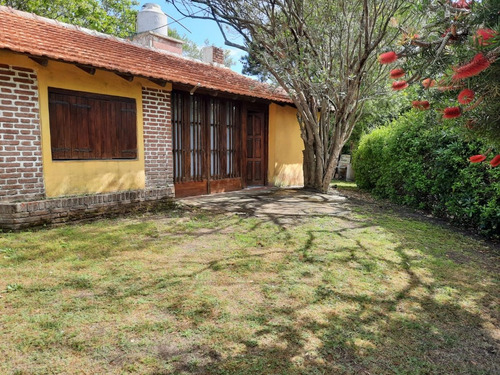 Imagen 3 de 12 de Alquilo Duplex Con Parque Y Parrilla