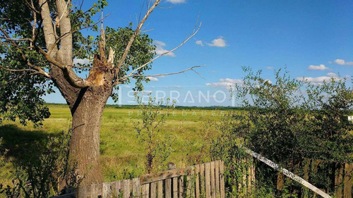 Terreno Campo  En Venta En Chacras De La Reserva Barrio Privado, Campana, G.b.a. Zona Norte