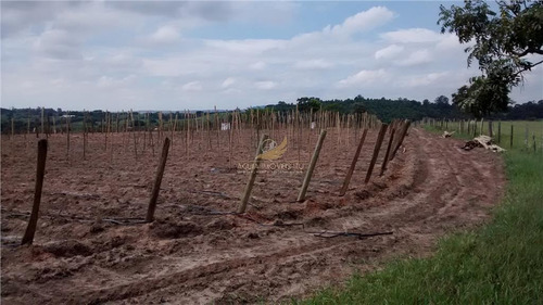 Imagem 15 de 22 de Sítio Rural À Venda, 20 Alqueires, Pinheirinho, Itu. (atrás Terras Ii) - Si0002