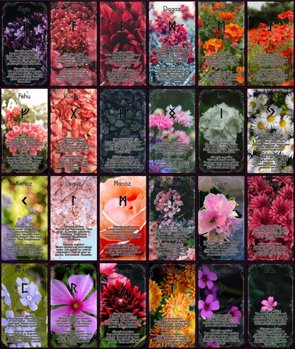 Baralho Runas Com Significados Tema De Flores. Mod 7