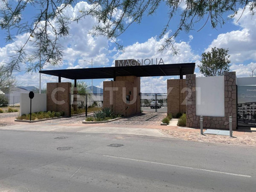 Departmento De Una Recamara En Renta En Magnolia Living
