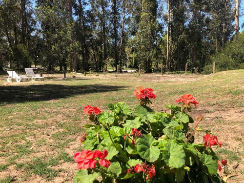 Imagen 23 de 26 de Alquilo Fin De Semanas, Y Quincenas . 4 Dormitorios, 2 Baños, Hasta 10 Personas. A 12 Cuadras De La Playa Parada 10 Brava Y Mansa. Punta Del Este