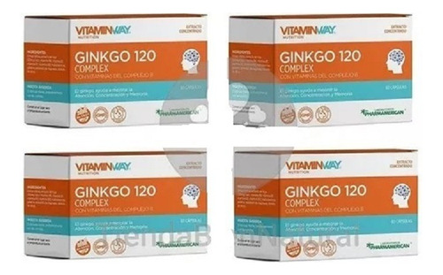 Ginkgo Biloba + Vitaminas Compejo B  Ginkgo Biloba X 240