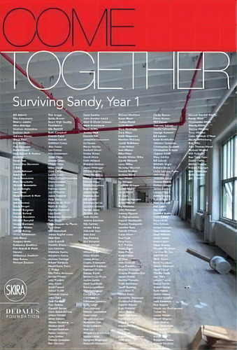 Come Together : Surviving Sandy, Year 1, De Jack Flam. Editorial Skira, Tapa Dura En Inglés