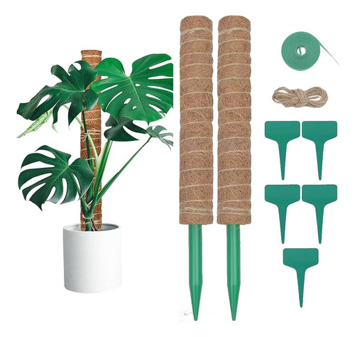 Juego De 9 Tutor De Musgo Para Plantas 43 Cm  / Moss Pole