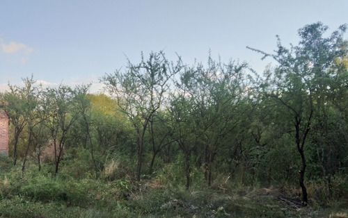 Se Vende Terreno De 1.25 Ha, Con Vista A Las Sierras (excelente Oportunidad) / Ubicación; Traslasierra, Cruz De Caña, Córdoba.
