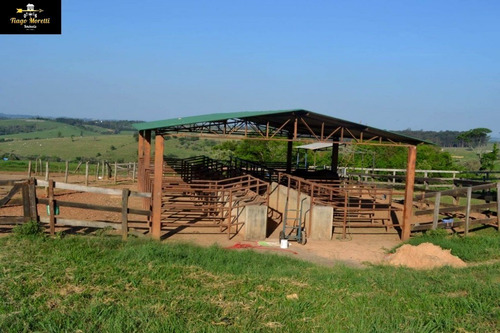 Excelente Haras Em Piquerá Porto Feliz-sp À Venda - Ha00001 - 69229779