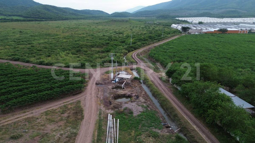 Venta Rancho Los Asmoles Colima