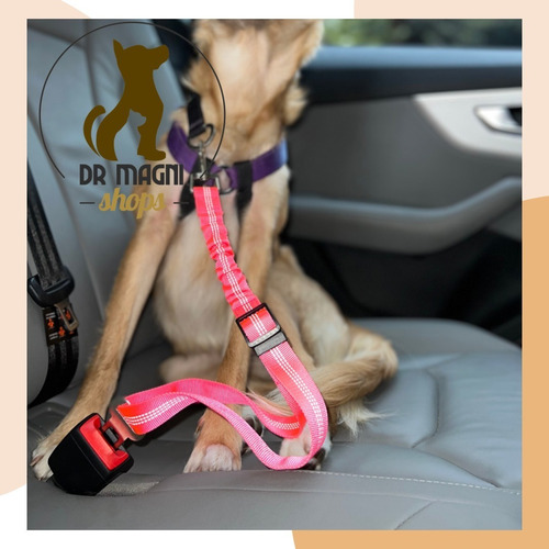 Cinturón De Seguridad De Carro Para Perros 