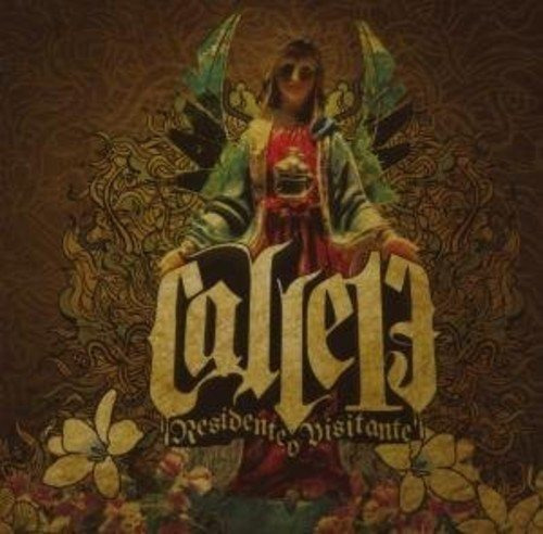 Cd Residente O Visitante - Calle 13