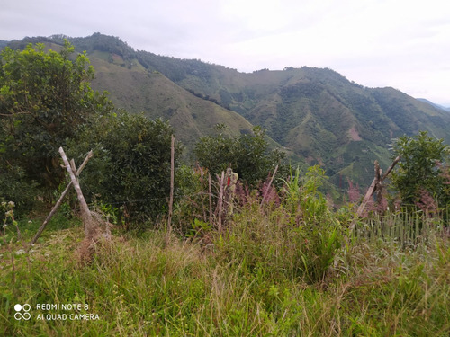 Lote Con Hermosa Vista - Jardín, Antioquia