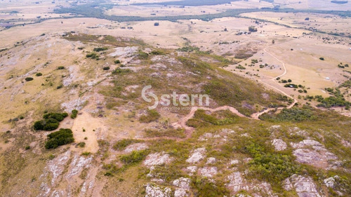 Imagen 29 de 30 de Venta Chacra, Paso Dutra, Maldonado.