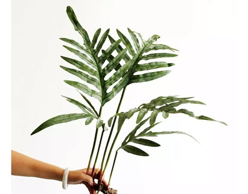 Planta Artificial Palma Real Touch