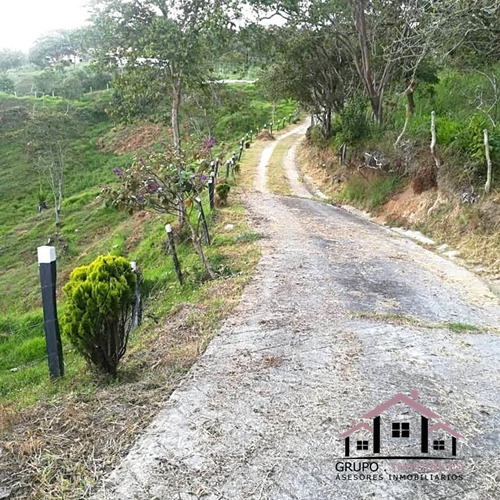 Imagen 2 de 14 de Finca Productiva En Excelente Clima
