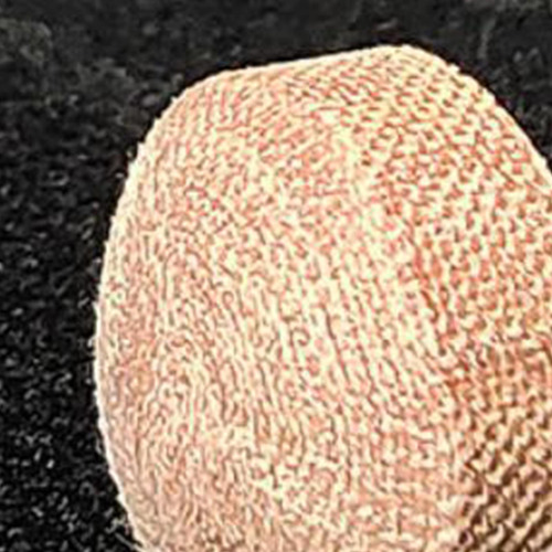2 X 2 Puntas Para Tacos De Billar, Reparación De 2 Piezas