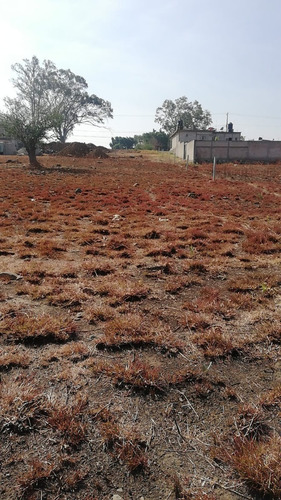 Imagen 3 de 6 de En Venta Amplio Terreno En Col. Los Cerritos En Atlatlahucan Morelos Sobre Carretera