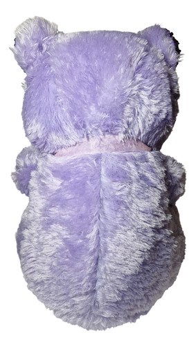 Oso De Peluche Con Corazón Para Regalo De San Valentín