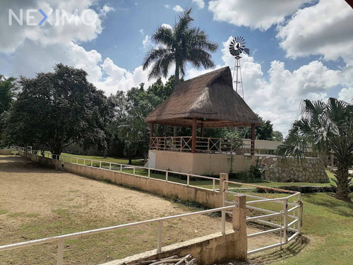 Imagen 25 de 30 de Casa En Venta De Un Piso En Cholul Mérida, Yucatán Con Grandes Jardines Y Alberca