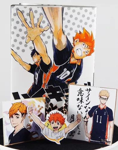 Haikyuu Manga Guia De Personagens Japonês + Brinde