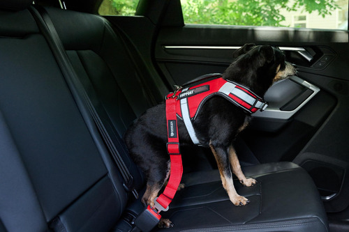 Cinturón De Seguridad Para Mascotas Ajustable Y Cómodo