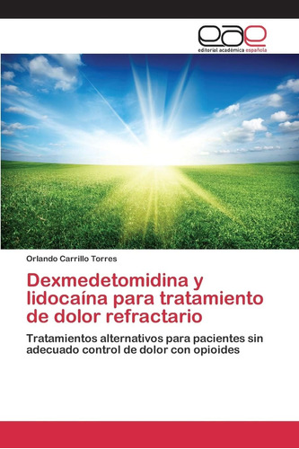 Libro: Dexmedetomidina Y Lidocaína Para Tratamiento De Dolor
