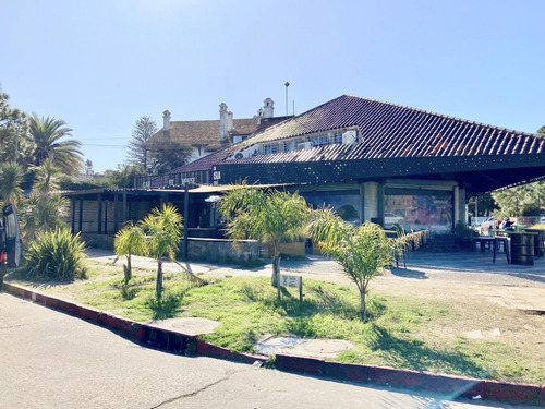 Imagen 8 de 9 de Alquiler Local Comercial Carrasco A Metros De Av Arocena