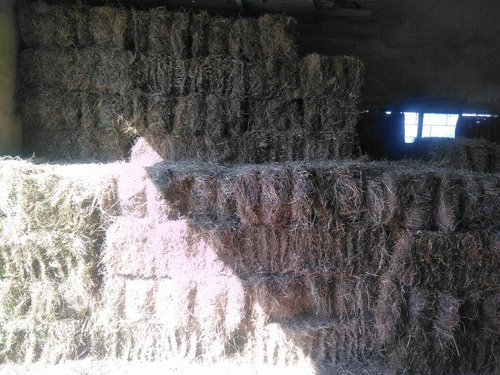 Imagen 1 de 1 de Fardos Alfalfa Mezclas Y Decoración