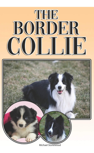 Libro The Border Collie-michael Stonewood -inglés