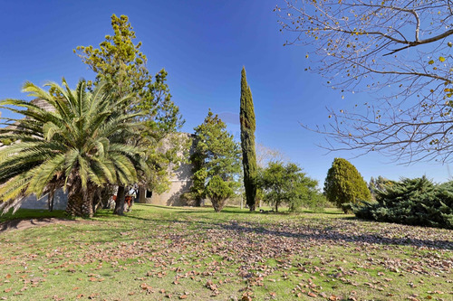 Venta Bodega O Deposito 10 Hectareas, Toledo Chico