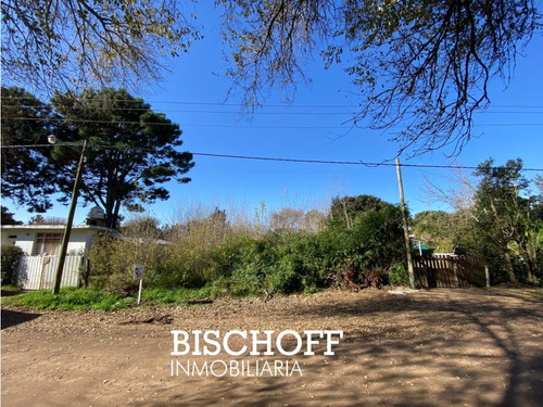 Venta De Terreno En Ostende Excelente Ubicación Sobre Calle Dakar
