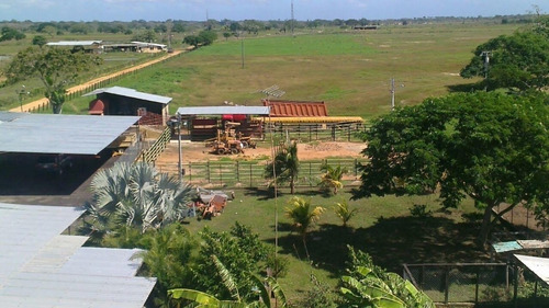 Imagen 14 de 14 de Venta Finca En Falcón Tucacas Oportunidad Cod. 423619