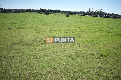 Imagen 6 de 19 de Chacra San Carlos Ruta 9