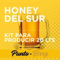 Comprar Kit Insumos Honey Del Sur Premium 20l Art. Punto Birra