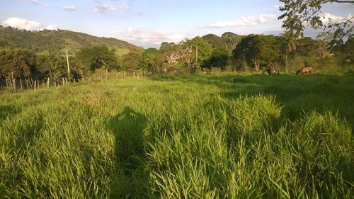 Terreno / Área Para Comprar No Zona Rural Em Bom Jesus Do Amparo/mg - 2230