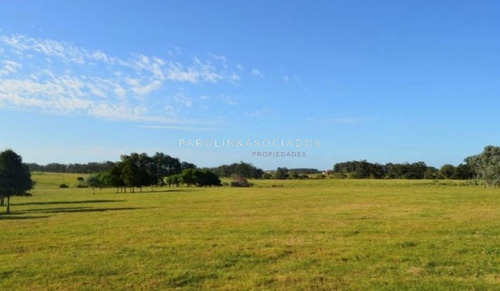 Chacra 5 Hectareas En Haras De Medellin, Punta Del Este