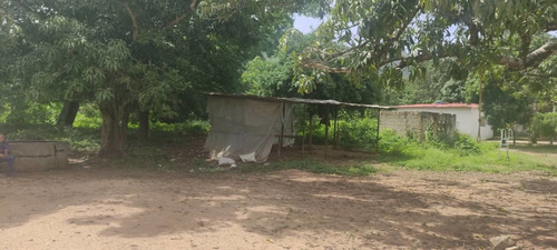 Imagen 9 de 14 de Terreno En Venta En Naguanagua